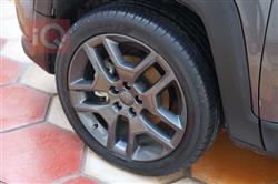 جيب رينيجيد